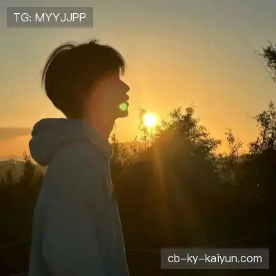 何鹰辉